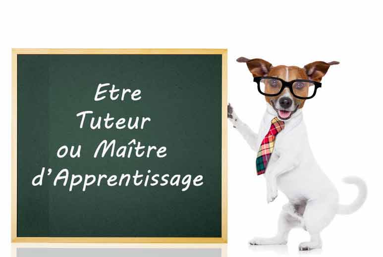 FORMATION TUTEURS ET MAITRES D’APPRENTISSAGE